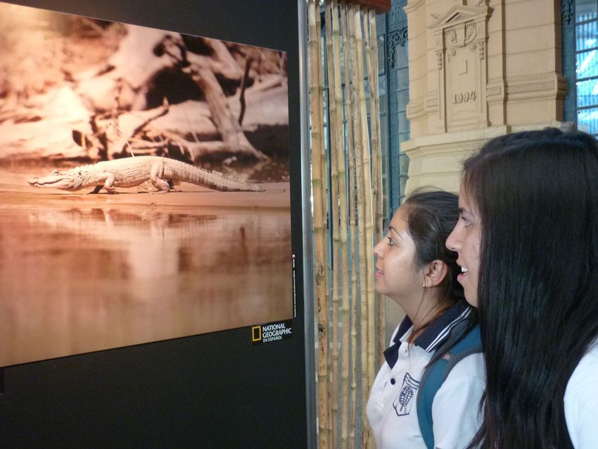 Forest Spirit: Call of the Wild