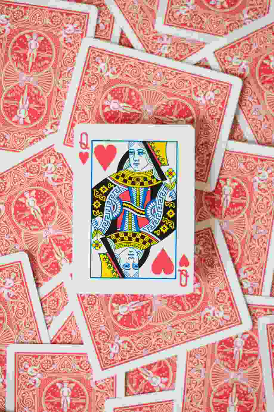 Reddice: Definitie en Overzicht - Alles Wat Je Moet Weten